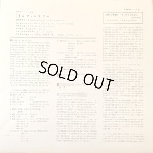 付属の解説リーフレット