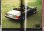 画像5: [中古本] Jaguar いのうえ・こーいち (保育社) (5)