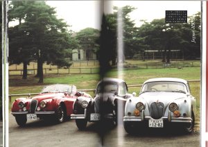 画像8: [中古本] Jaguar いのうえ・こーいち (保育社)