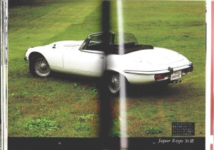 画像9: [中古本] Jaguar いのうえ・こーいち (保育社)