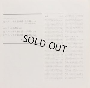 付属の解説リーフレット