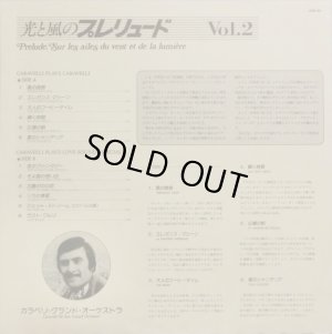 付属の解説リーフレット