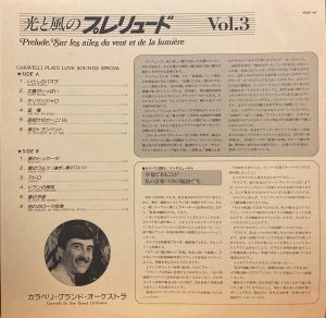 付属の解説リーフレット