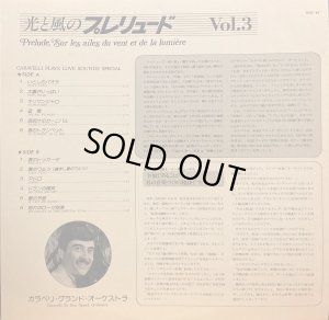 付属の解説リーフレット