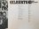 画像5: 加CTI ASTRUD GILBERTO アストラッド・ジルベルト/ Gilberto with Turrentine (5)