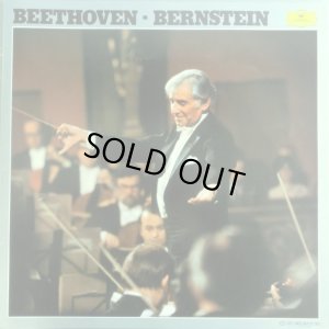 付属の解説ブックレット