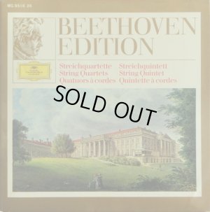 付属の豪華解説ブックレット