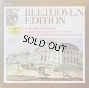 詳細な解説ブックレット