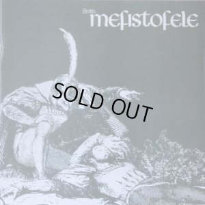 付属の解説＆歌詞対訳ブックレット