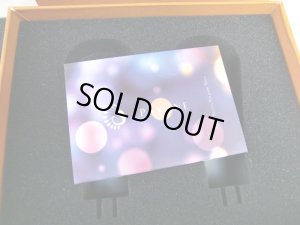 画像6: [新古品] PSVANE プスヴァン／Acme 300B 真空管（ペア、2本）