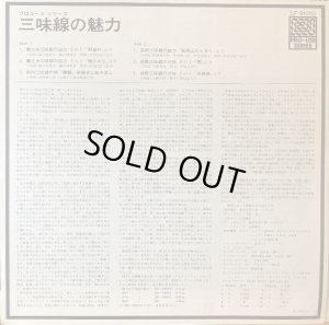 付属の解説リーフレット