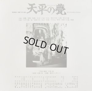 付属の解説書(表)