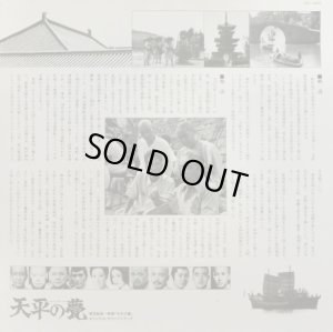 付属の解説書(裏)