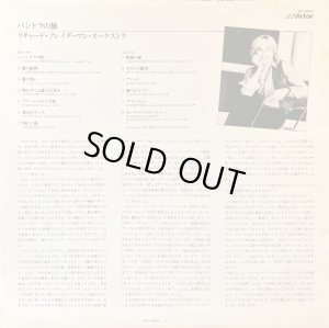 付属の解説リーフレット