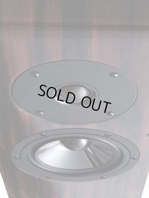 画像5: Vienna Acoustics ウィーン・アコースティクス／Beethovenn Baby Grand Symphony Editon　スピーカー・システム（ペア）