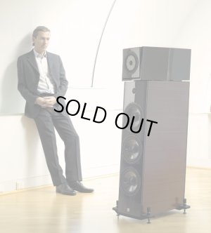 ペーター・ガンシュテラーとThe Music