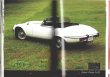 画像9: [中古本] Jaguar いのうえ・こーいち (保育社)