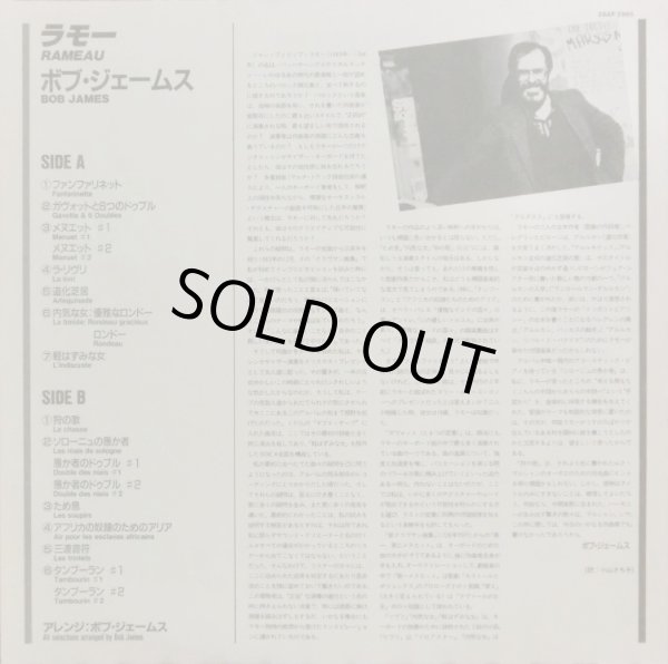 付属の解説リーフレット