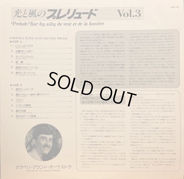 付属の解説リーフレット