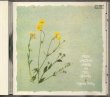 プロモ盤