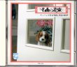 画像1: [中古CD] PHILIPS ウィーン少年合唱団／野ばら〜天使の歌声