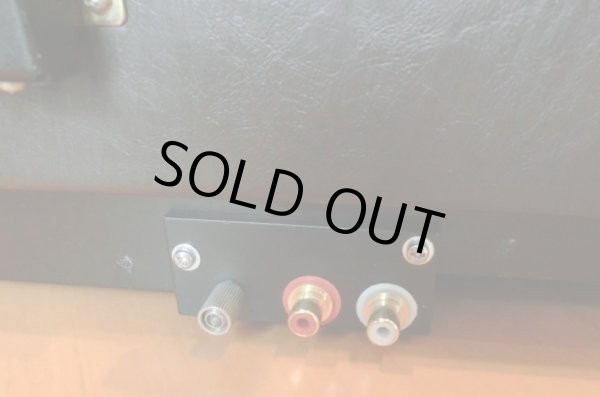 RCA ピンジャックとアース端子