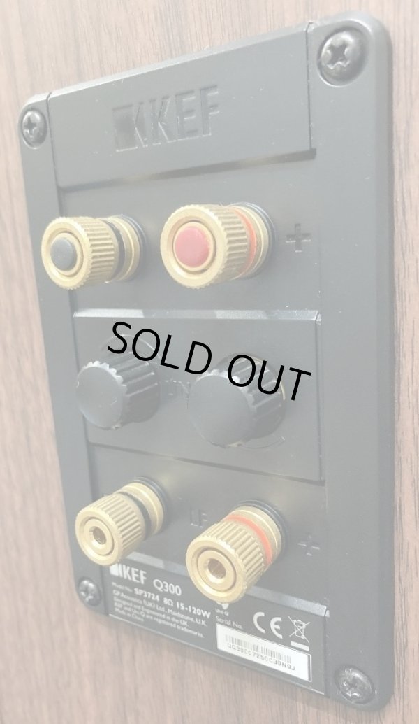 バイワイヤー・リンクノブ