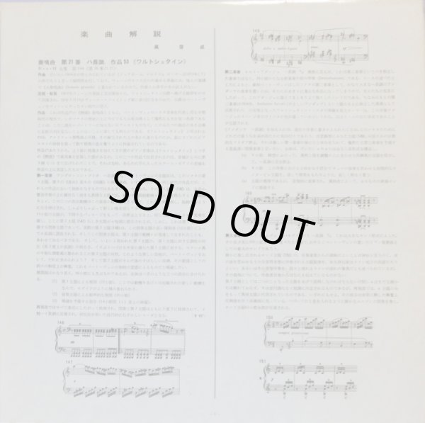 付属の解説リーフレット