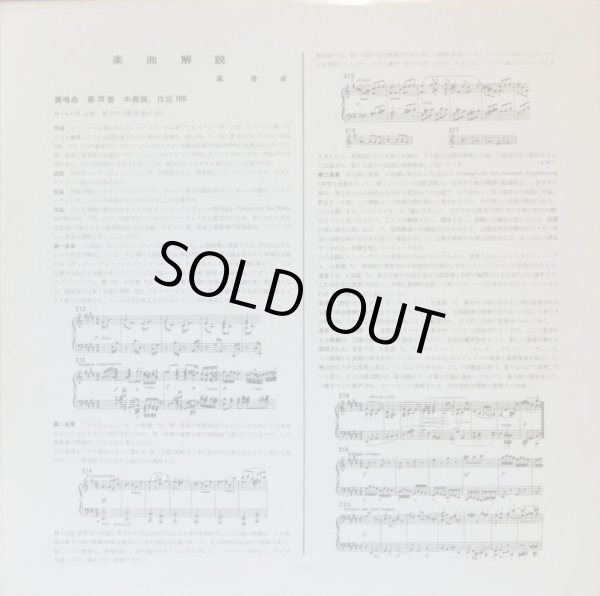 付属の解説リーフレット