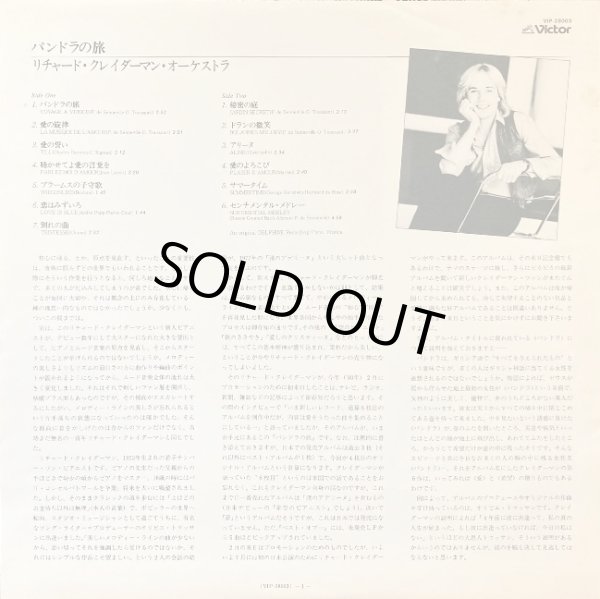 付属の解説リーフレット