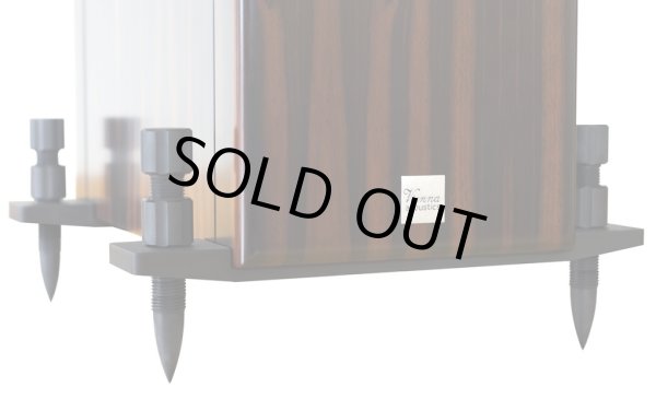 画像4: Vienna Acoustics ウィーン・アコースティクス／Beethovenn Baby Grand Symphony Editon　スピーカー・システム（ペア）