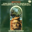 画像1: Westminster初期盤 バリリ弦楽四重奏団/ベートーヴェン 弦楽四重奏曲第5, 6番