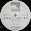 画像2: 米Windham Hill シャドウファックス SHADOWFAX／THE DREAM OF CHILDREN