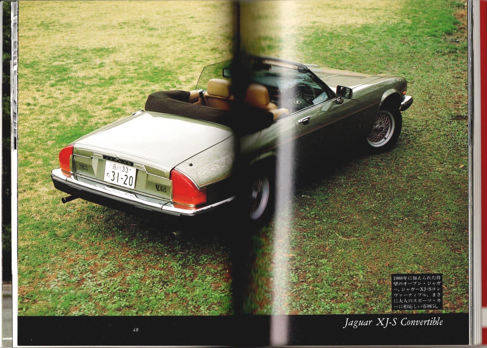 画像5: [中古本] Jaguar いのうえ・こーいち (保育社)