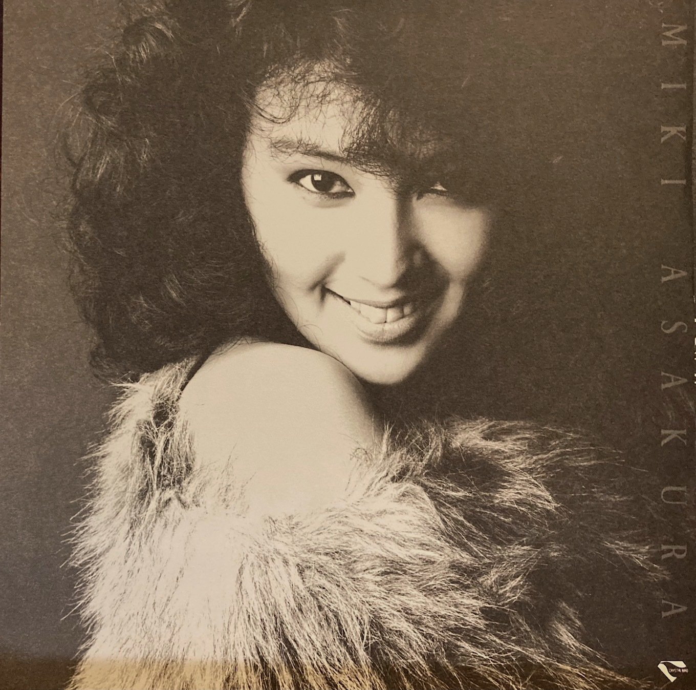 付属のピンナップ